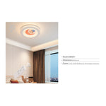 CEILING LIGHT CM5031