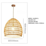 PENDANT LIGHT HL9055/1L