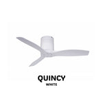 SPIN Ceiling Fan with/without Light PERFECT QUINCY