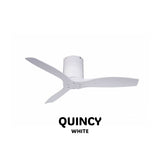 SPIN Ceiling Fan with/without Light PERFECT QUINCY