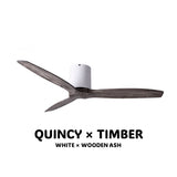 SPIN Ceiling Fan with/without Light ASH x QUINCY