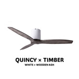 SPIN Ceiling Fan with/without Light OFF-WHITE x QUINCY