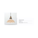 PENDANT LIGHT G2420