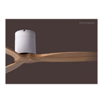 SPIN Ceiling Fan with/without Light OAK x QUINCY