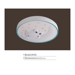 CEILING LIGHT 8155