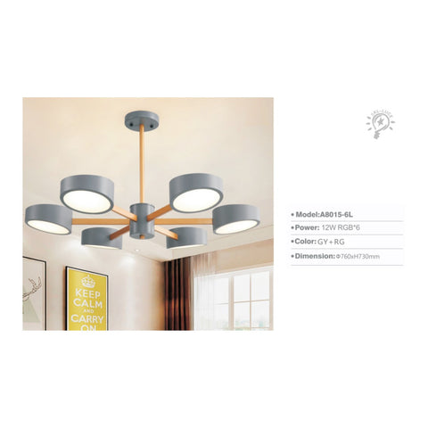 PENDANT LIGHT A8015-6L