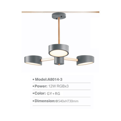 PENDANT LIGHT A8014-3L