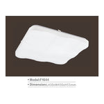 CEILING LIGHT F1644