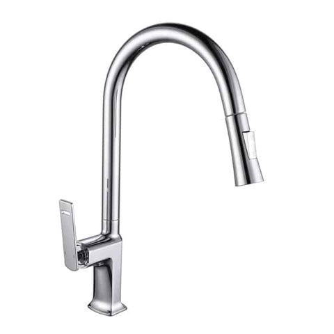 Sink Mixer (Pull-Out) PF-1604
