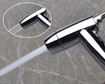 BIDET SPRAY SET (Lock + Dual Function) PBS-419-CP