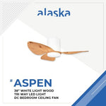 ALASKA DC Ceiling Fan ASPEN III 38"