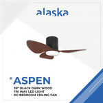 ALASKA DC Ceiling Fan ASPEN III 38"