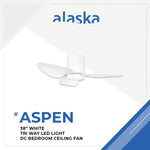 ALASKA DC Ceiling Fan ASPEN III 38"