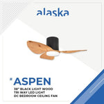 ALASKA DC Ceiling Fan ASPEN III 38"