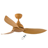 BESTAR Ceiling Fan RAPTOR