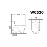 TIARA Rimless One Piece Water Closet WC520