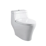TIARA Rimless One Piece Water Closet WC520