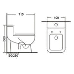 TIARA Rimless One Piece Water Closet WC 522