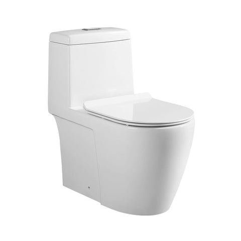 TIARA Rimless One Piece Water Closet WC 530
