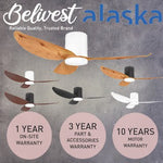 ALASKA DC Ceiling Fan ASPEN III 38"