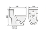 TIARA Rimless One Piece Water Closet WC 520