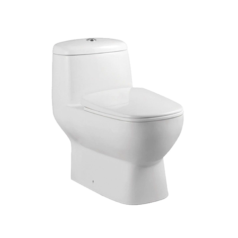 TIARA Rimless One Piece Water Closet WC522